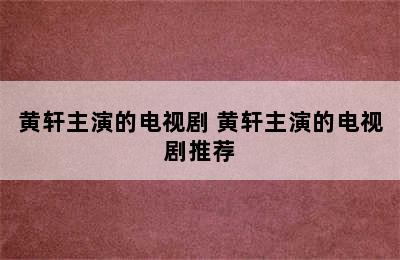 黄轩主演的电视剧 黄轩主演的电视剧推荐